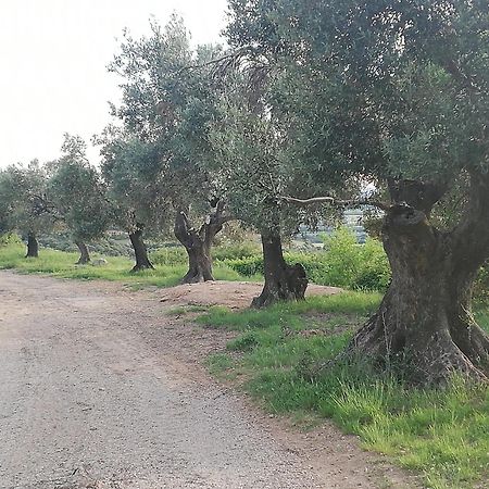 הוילה El Mirador De Sabayés מראה חיצוני תמונה